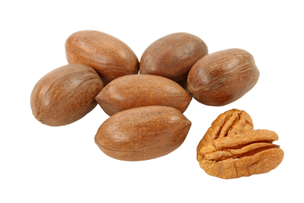 Pekanrieksti čaulā, lielie
